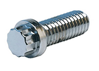 12-point-cap-screw-trans
